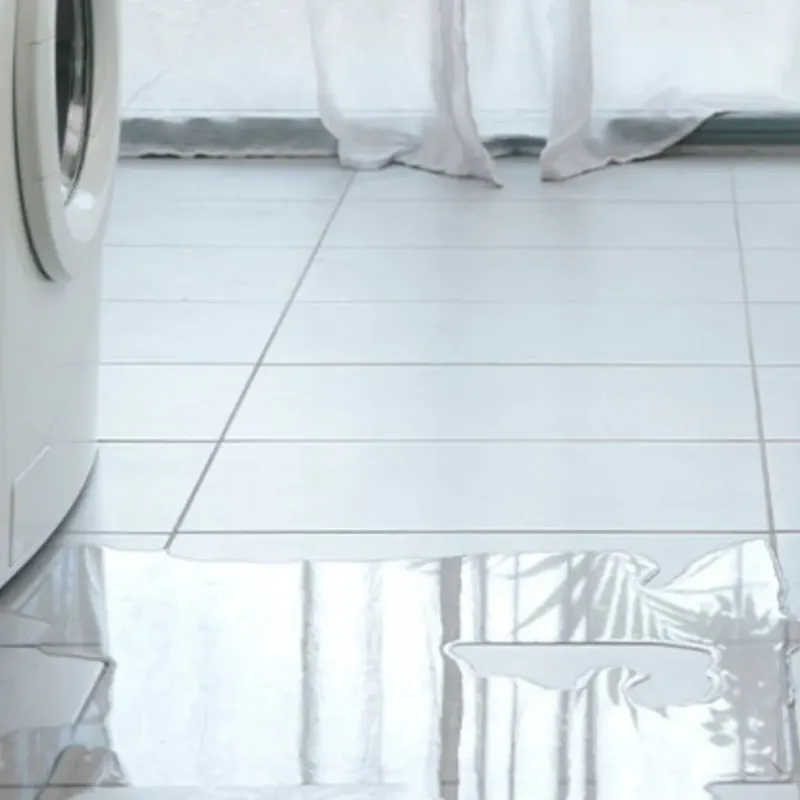 Appliance Leak Cleanup in Campbell County, KY