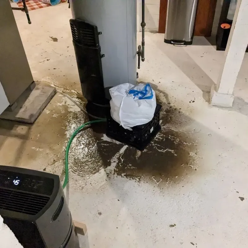 Sewage Backup Cleanup Service in Campbell County, KY